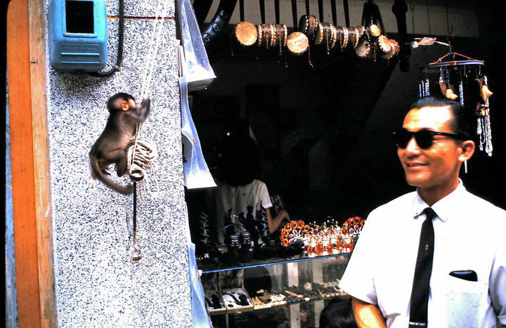 Souvenir stand with monkey